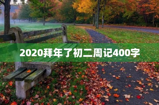 2020拜年了初二周记400字