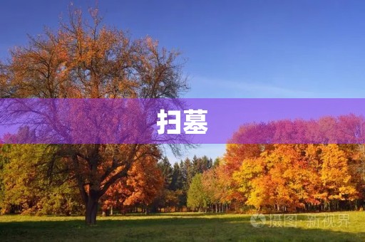 扫墓