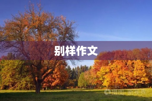 别样作文 别样作文