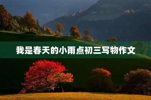 我是春天的小雨点初三写物作文 我是春天的小雨点初三写物作文
