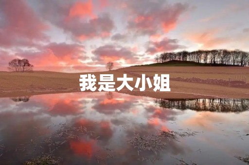 我是大小姐 我是大小姐