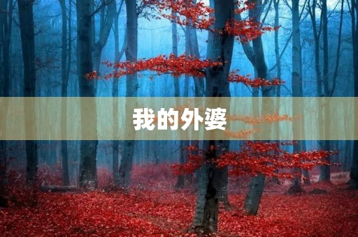 我的外婆