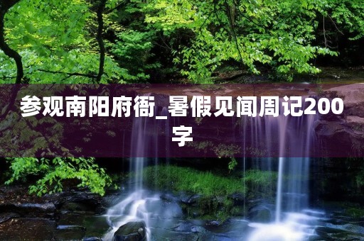 参观南阳府衙_暑假见闻周记200字