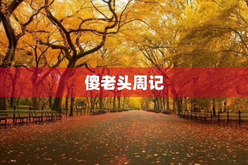 傻老头周记 傻老头周记