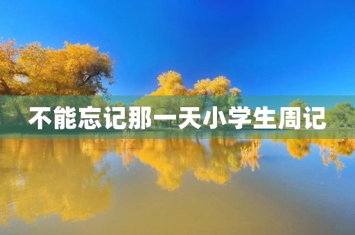 不能忘记那一天小学生周记