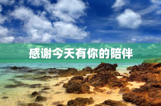 感谢今天有你的陪伴