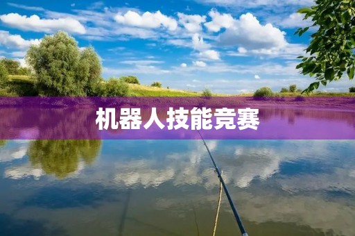 机器人技能竞赛 机器人技能竞赛