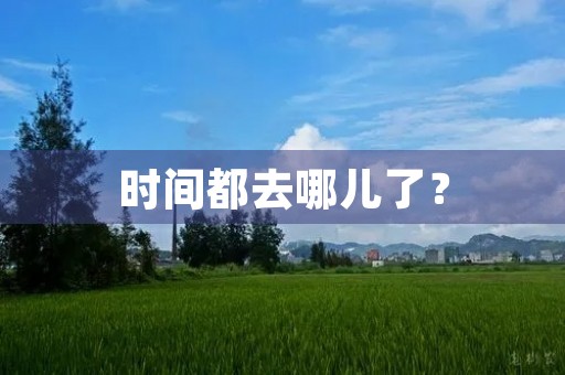 时间都去哪儿了? 时间都去哪儿了?