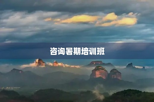 咨询暑期培训班 咨询暑期培训班