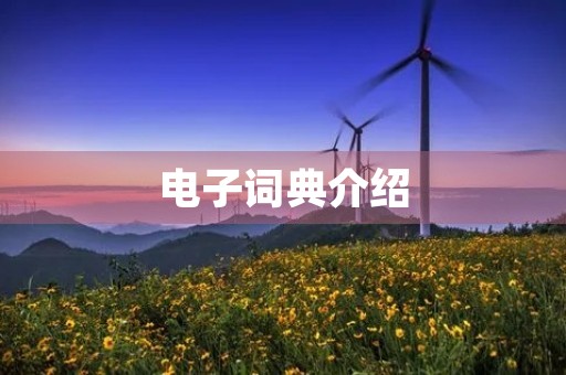 电子词典介绍