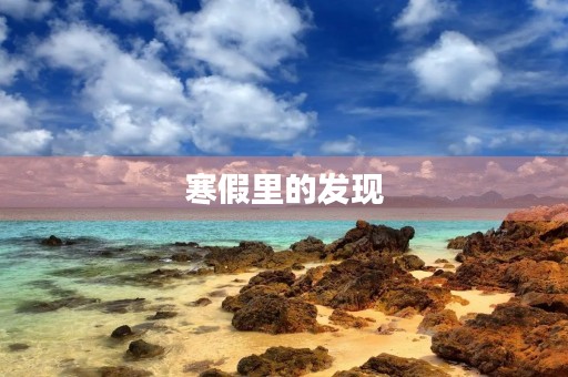 寒假里的发现 寒假里的发现