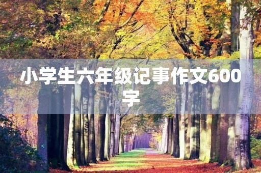 小学生六年级记事作文600字 小学生六年级记事作文600字