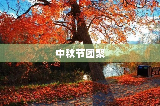 中秋节团聚 中秋节团聚