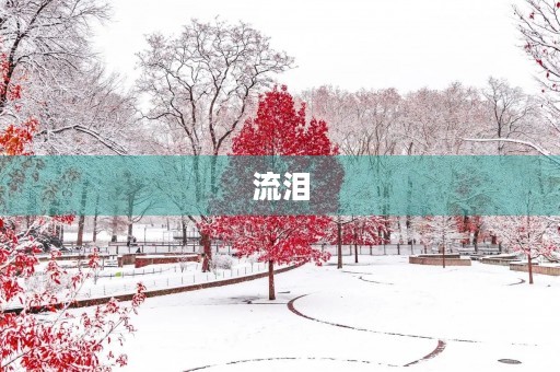 流泪 流泪