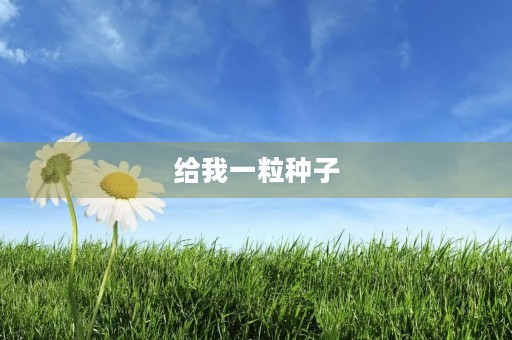给我一粒种子