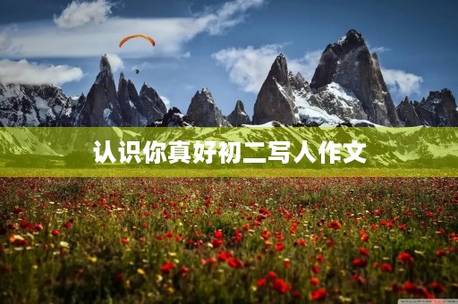 认识你真好初二写人作文 认识你真好初二写人作文