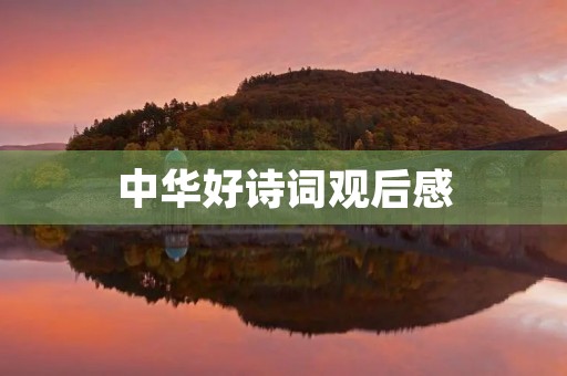 中华好诗词观后感 中华好诗词观后感