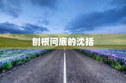 刨根问底的沈括 刨根问底的沈括