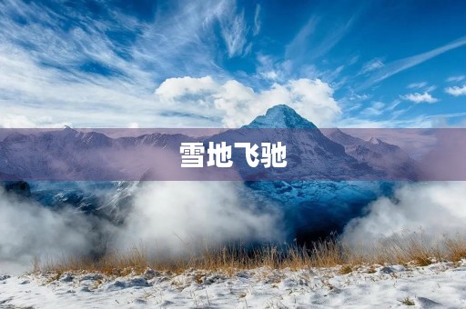 雪地飞驰