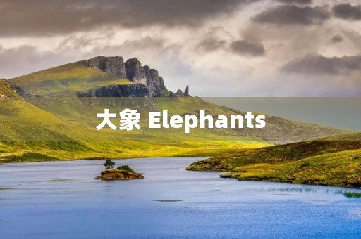 大象 Elephants 大象 Elephants