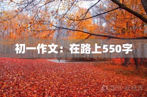 初一作文:在路上550字 初一作文:在路上550字