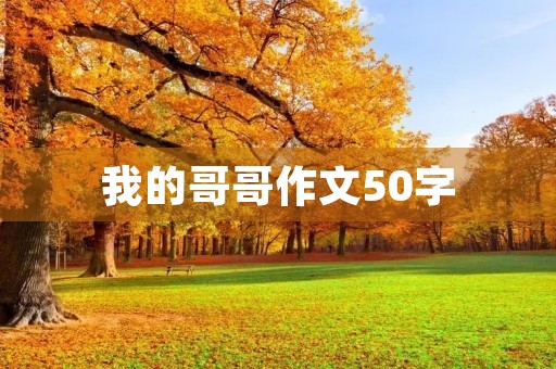 我的哥哥作文50字 我的哥哥作文50字