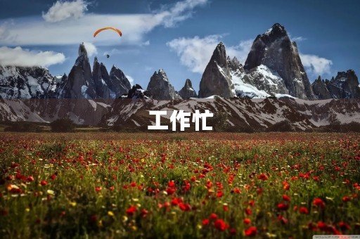 工作忙