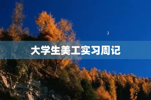 大学生美工实习周记