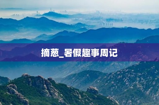 摘葱_暑假趣事周记 摘葱_暑假趣事周记