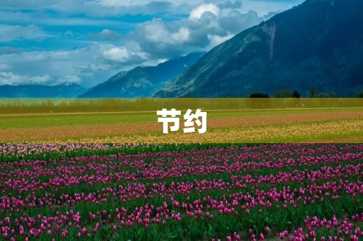 节约 节约