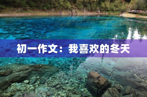 初一作文:我喜欢的冬天 初一作文:我喜欢的冬天