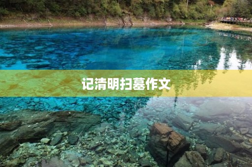 记清明扫墓作文 记清明扫墓作文