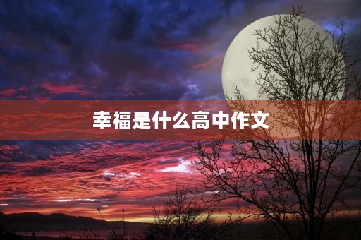幸福是什么高中作文