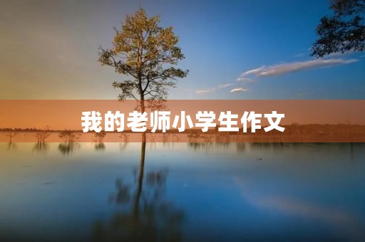 我的老师小学生作文 我的老师小学生作文