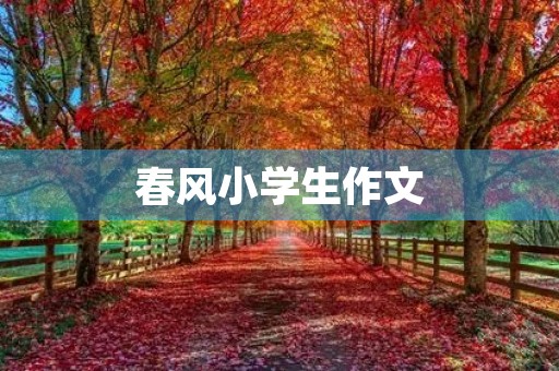 春风小学生作文