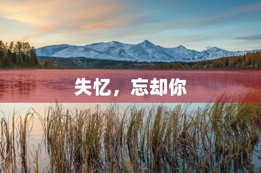 失忆，忘却你