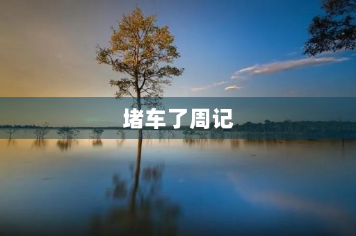 堵车了周记 堵车了周记