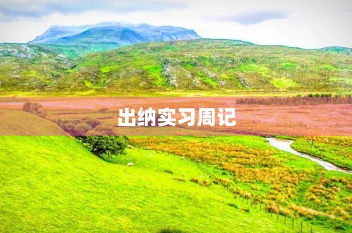 出纳实习周记 出纳实习周记