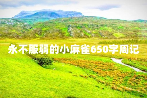 永不服弱的小麻雀650字周记 永不服弱的小麻雀650字周记