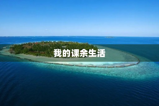 我的课余生活 我的课余生活
