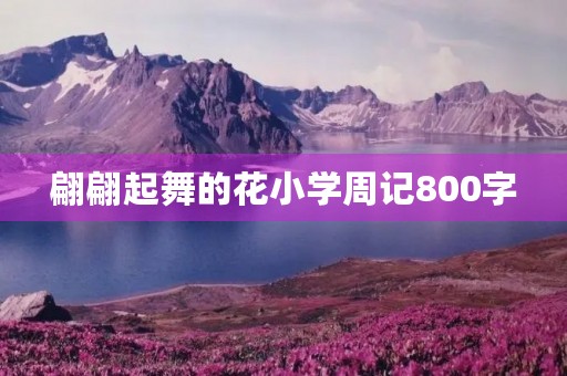 翩翩起舞的花小学周记800字