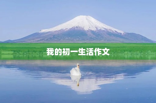 我的初一生活作文