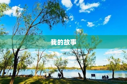 我的故事 我的故事