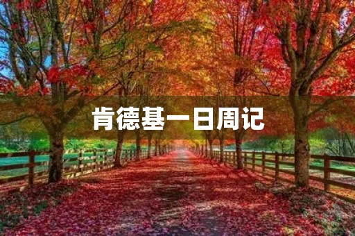 肯德基一日周记 肯德基一日周记