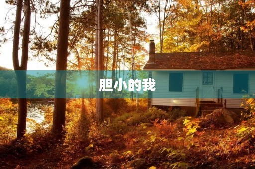 胆小的我