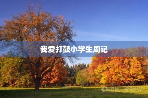 我爱打鼓小学生周记 我爱打鼓小学生周记