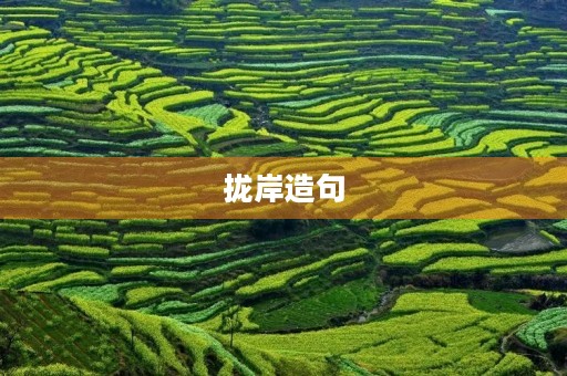 拢岸造句 拢岸造句