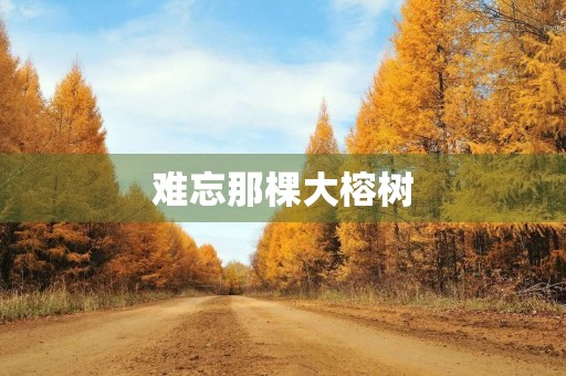 难忘那棵大榕树