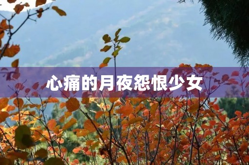 心痛的月夜怨恨少女 心痛的月夜怨恨少女