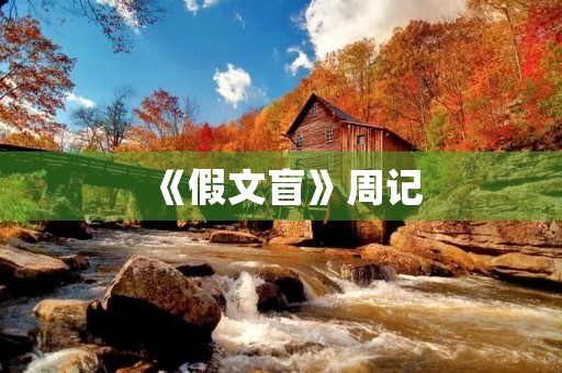 《假文盲》周记 《假文盲》周记